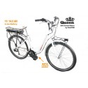 Bicicleta CicloTEK Queen Central PRO + CK11