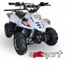 MINIQUAD WR6 110CC 1+R